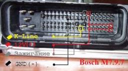 Bosch M7.9.7 Разъём.jpg